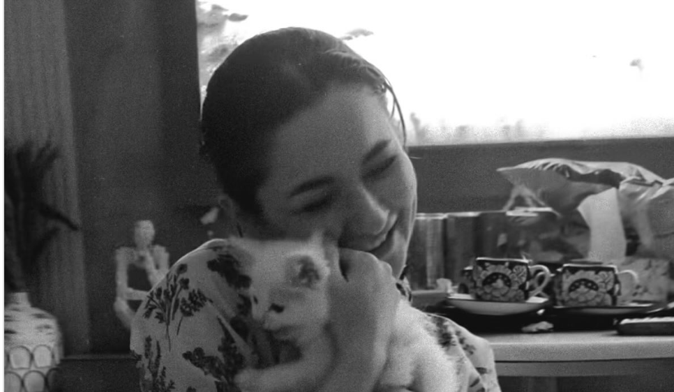 Hania Aamir